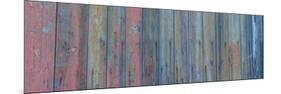 Barn Board-Brenda Petrella Photography LLC-Mounted Giclee Print