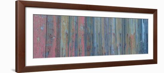 Barn Board-Brenda Petrella Photography LLC-Framed Giclee Print