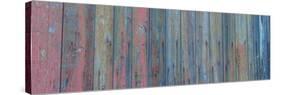 Barn Board-Brenda Petrella Photography LLC-Stretched Canvas