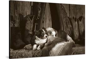 Barn Buddies-Barry Hart-Stretched Canvas