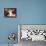 Barn Dance-Jennifer Garant-Framed Stretched Canvas displayed on a wall