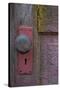 Barn Door-Erin Berzel-Stretched Canvas