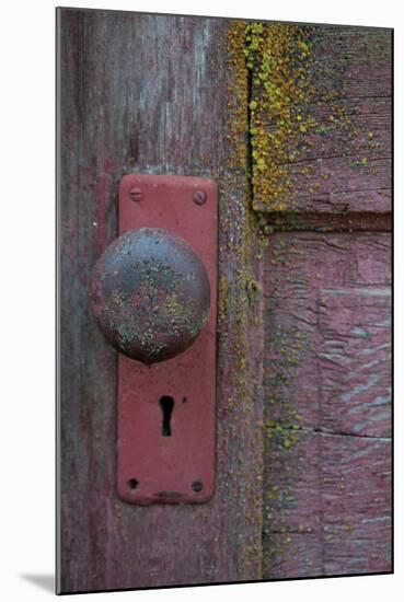 Barn Door-Erin Berzel-Mounted Photographic Print