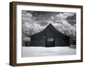 Barn, Dothan, Alabama-Carol Highsmith-Framed Art Print