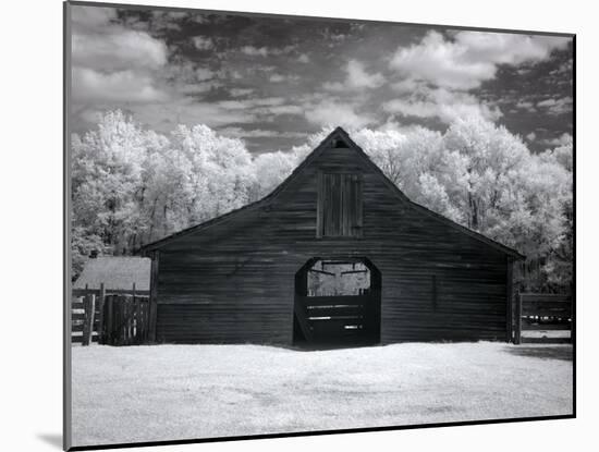 Barn, Dothan, Alabama-Carol Highsmith-Mounted Art Print