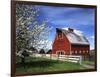 Barn, Ellensburg, Washington, USA-Charles Gurche-Framed Photographic Print