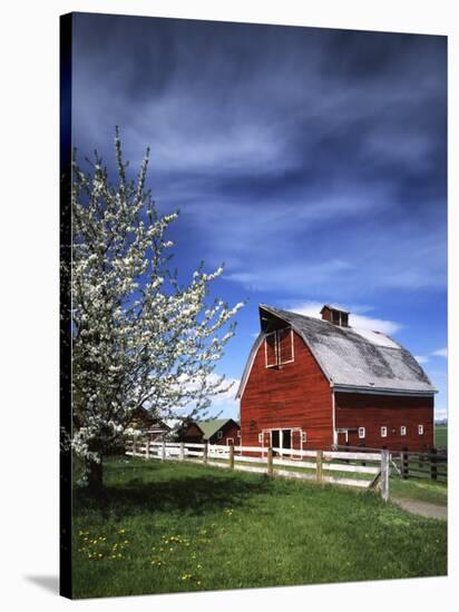 Barn, Ellensburg, Washington, USA-Charles Gurche-Stretched Canvas