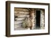 Barn Exterior, Varska, Estonia, Baltic States-Nico Tondini-Framed Photographic Print