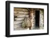 Barn Exterior, Varska, Estonia, Baltic States-Nico Tondini-Framed Photographic Print