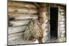 Barn Exterior, Varska, Estonia, Baltic States-Nico Tondini-Mounted Photographic Print