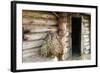 Barn Exterior, Varska, Estonia, Baltic States-Nico Tondini-Framed Photographic Print