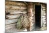 Barn Exterior, Varska, Estonia, Baltic States-Nico Tondini-Mounted Photographic Print