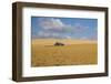 Barn in a field, Moscow, Idaho, USA-Panoramic Images-Framed Photographic Print