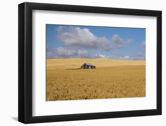 Barn in a field, Moscow, Idaho, USA-Panoramic Images-Framed Photographic Print