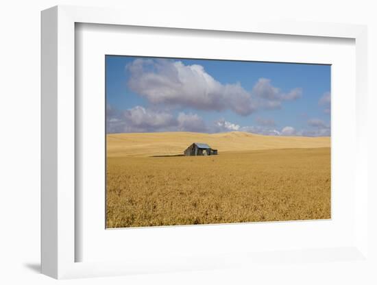 Barn in a field, Moscow, Idaho, USA-Panoramic Images-Framed Photographic Print