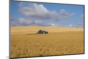 Barn in a field, Moscow, Idaho, USA-Panoramic Images-Mounted Photographic Print