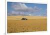 Barn in a field, Moscow, Idaho, USA-Panoramic Images-Framed Photographic Print