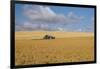 Barn in a field, Moscow, Idaho, USA-Panoramic Images-Framed Photographic Print