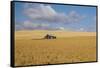 Barn in a field, Moscow, Idaho, USA-Panoramic Images-Framed Stretched Canvas