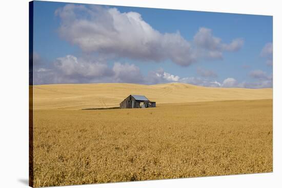 Barn in a field, Moscow, Idaho, USA-Panoramic Images-Stretched Canvas