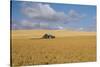 Barn in a field, Moscow, Idaho, USA-Panoramic Images-Stretched Canvas