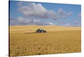 Barn in a field, Moscow, Idaho, USA-Panoramic Images-Stretched Canvas