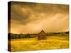 Barn in a Field of Wildflowers with Storm Clouds, Baden-Wurttemberg, Germany-null-Stretched Canvas