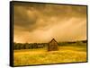 Barn in a Field of Wildflowers with Storm Clouds, Baden-Wurttemberg, Germany-null-Framed Stretched Canvas