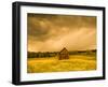 Barn in a Field of Wildflowers with Storm Clouds, Baden-Wurttemberg, Germany-null-Framed Photographic Print