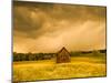 Barn in a Field of Wildflowers with Storm Clouds, Baden-Wurttemberg, Germany-null-Mounted Photographic Print