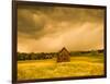 Barn in a Field of Wildflowers with Storm Clouds, Baden-Wurttemberg, Germany-null-Framed Photographic Print