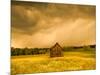 Barn in a Field of Wildflowers with Storm Clouds, Baden-Wurttemberg, Germany-null-Mounted Photographic Print