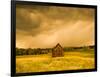 Barn in a Field of Wildflowers with Storm Clouds, Baden-Wurttemberg, Germany-null-Framed Photographic Print