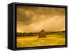 Barn in a Field of Wildflowers with Storm Clouds, Baden-Wurttemberg, Germany-null-Framed Stretched Canvas