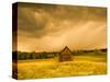 Barn in a Field of Wildflowers with Storm Clouds, Baden-Wurttemberg, Germany-null-Stretched Canvas