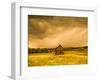 Barn in a Field of Wildflowers with Storm Clouds, Baden-Wurttemberg, Germany-null-Framed Photographic Print