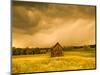 Barn in a Field of Wildflowers with Storm Clouds, Baden-Wurttemberg, Germany-null-Mounted Photographic Print