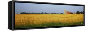 Barn in a field, Wisconsin, USA-null-Framed Stretched Canvas