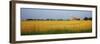 Barn in a field, Wisconsin, USA-null-Framed Photographic Print