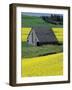 Barn in Canola Field, Idaho-Darrell Gulin-Framed Photographic Print