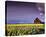 Barn in Daffodils-Ike Leahy-Stretched Canvas