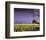 Barn in Daffodils-Ike Leahy-Framed Photo