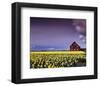 Barn in Daffodils-Ike Leahy-Framed Photo