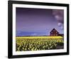 Barn in Daffodils-Ike Leahy-Framed Photo