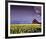 Barn in Daffodils-Ike Leahy-Framed Photographic Print