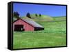 Barn in Field of Wheat, Palouse Area, Washington, USA-Janell Davidson-Framed Stretched Canvas
