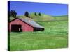 Barn in Field of Wheat, Palouse Area, Washington, USA-Janell Davidson-Stretched Canvas