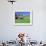 Barn in Field of Wheat, Palouse Area, Washington, USA-Janell Davidson-Framed Photographic Print displayed on a wall