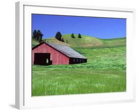 Barn in Field of Wheat, Palouse Area, Washington, USA-Janell Davidson-Framed Photographic Print