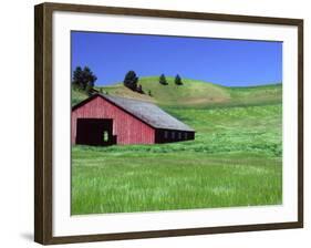 Barn in Field of Wheat, Palouse Area, Washington, USA-Janell Davidson-Framed Photographic Print
